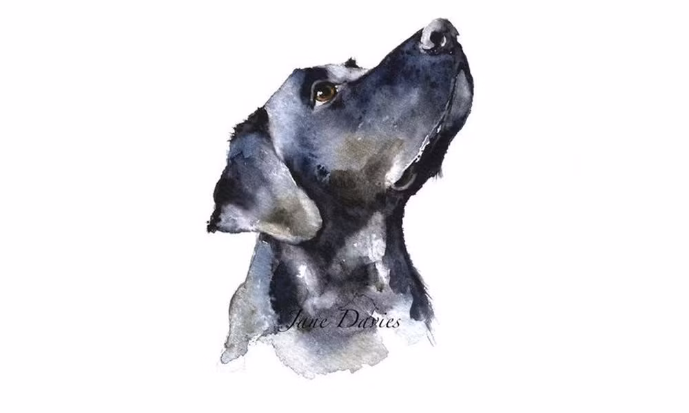 Tuổi Tuất từ nhỏ đã rất dễ mến, rộng lượng và chân thành. Người tuổi Tuất đi đâu cũng có thể kết bạn, cũng nhờ vậy mà gặp được nhiều quý nhân, thường được người khác giúp đỡ, hỗ trợ, từ đó phúc khí dồi dào.