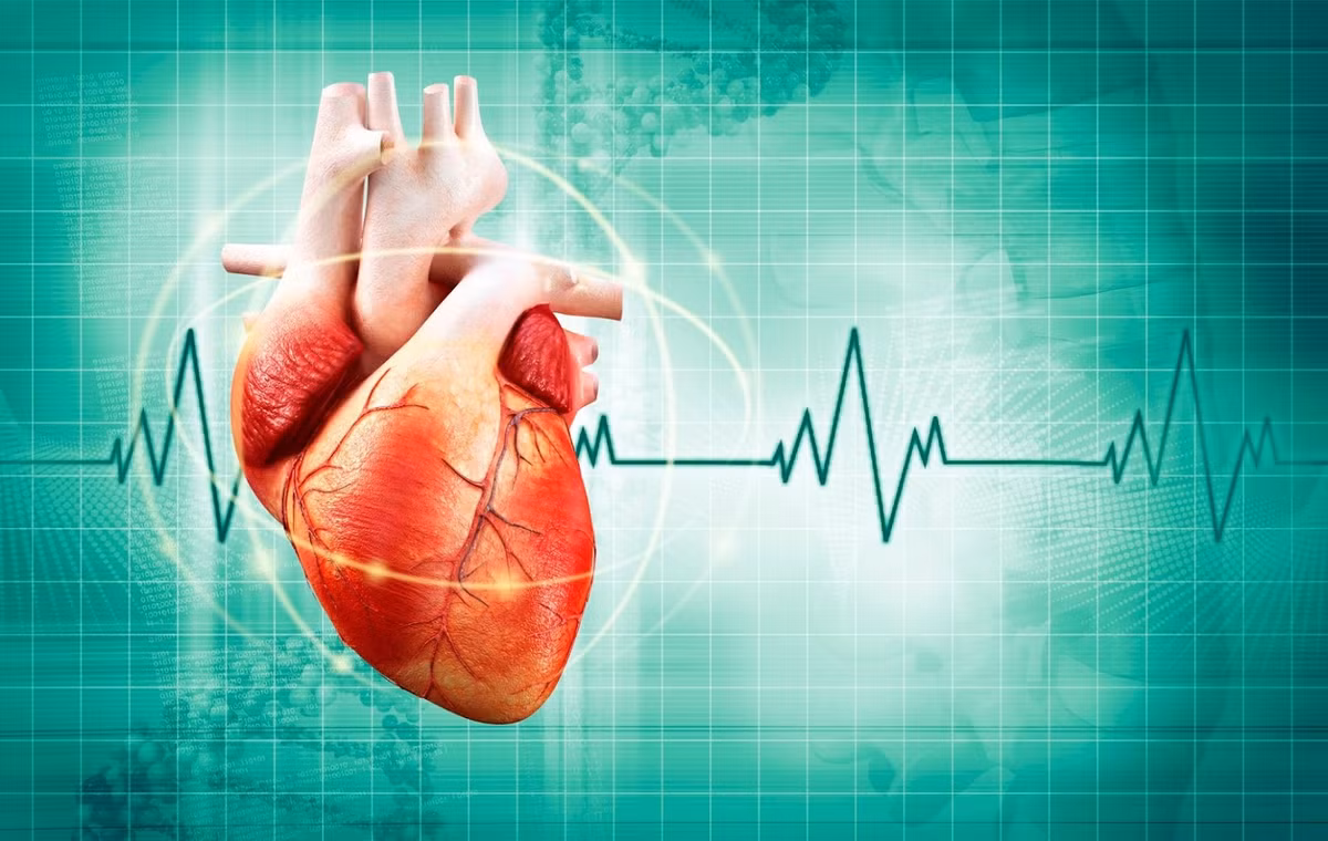 Dung gung qua lieu, nhung nguoi mac cac benh ly nay de gap hoa-Hinh-5