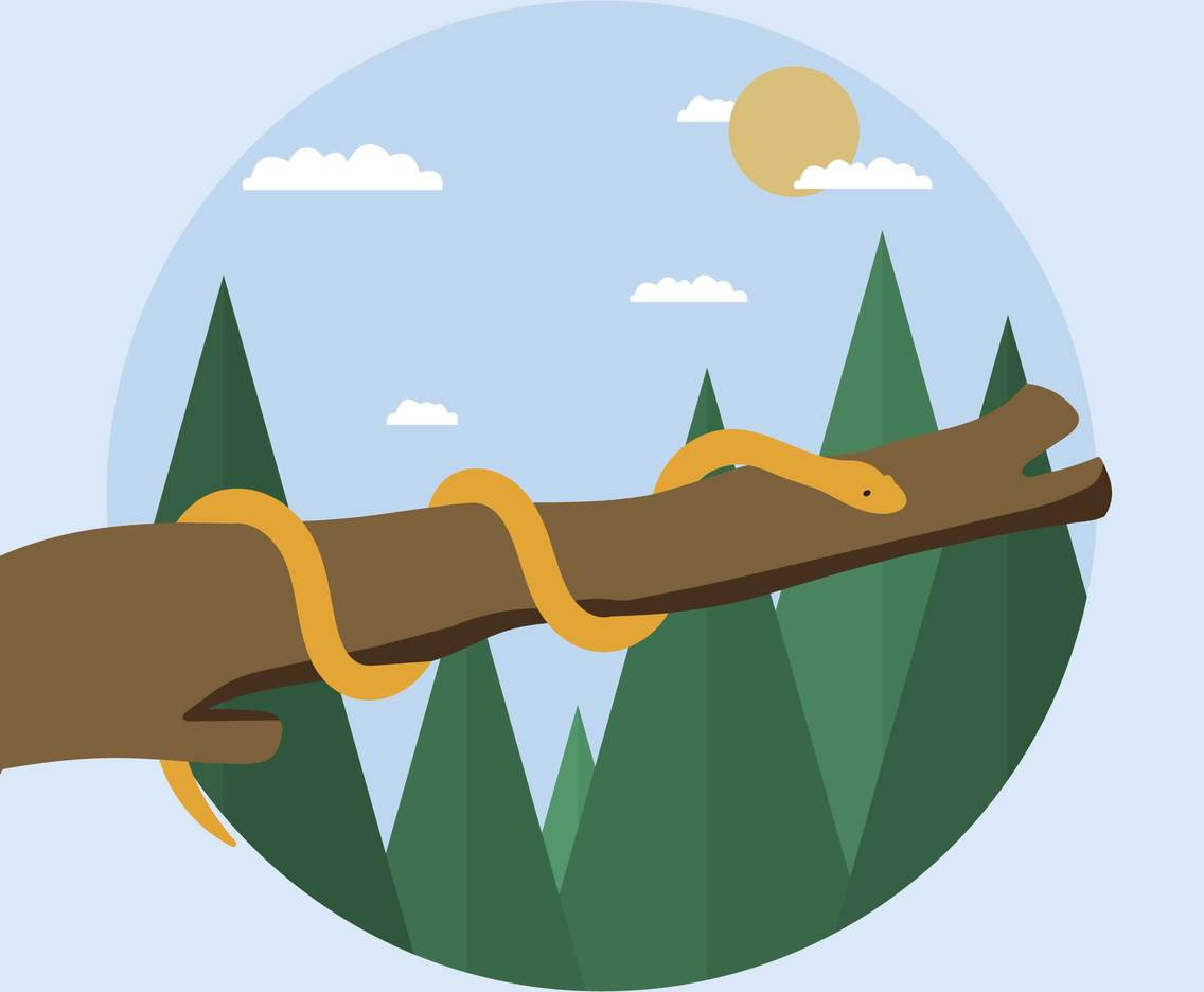 Tuổi Tỵ được lãnh đạo tín nhiệm, mang lại nhiều cơ hội trong công việc. Giao tiếp tối với đối tác, công việc làm ăn bên ngoài của con giáp cũng nhanh chóng thu về nhiều lợi nhuận.