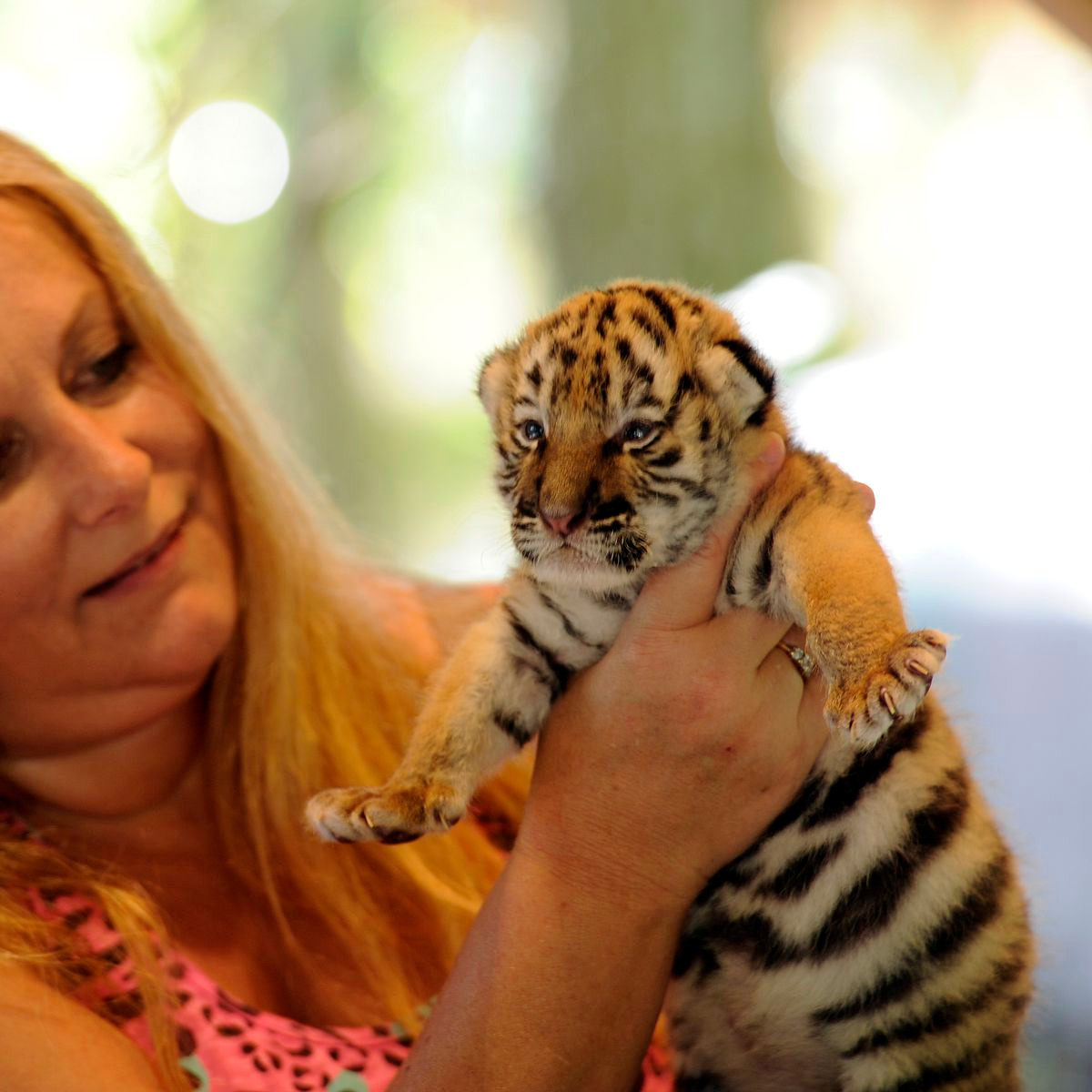 Chuyện tình duyên tốt đẹp, con giáp nào còn độc thân nhanh chóng tìm được một nửa hòa hợp. Tuy nhiên, vẫn có sao hung tinh liên quan đến sức khỏe của tuổi Dần, cần chú ý chế độ ăn uống và các vấn đề tiêu hóa.