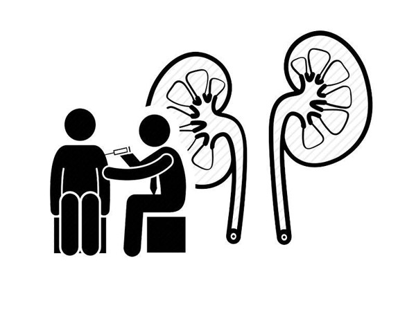 Trong số đó, nhiễm độc niệu được xem là căn bệnh nguy hiểm nhất liên quan đến thận. Một khi mắc, thận có suy giảm chức năng rõ rệt. Dù vậy, không ít bạn trẻ vẫn thờ ơ với sức khỏe chính mình, duy trì thói quen tai hại làm tăng nguy cơ mắc bệnh.