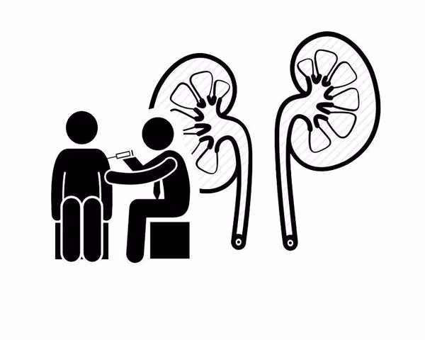 Trong số đó, nhiễm độc niệu được xem là căn bệnh nguy hiểm nhất liên quan đến thận. Một khi mắc, thận có suy giảm chức năng rõ rệt. Dù vậy, không ít bạn trẻ vẫn thờ ơ với sức khỏe chính mình, duy trì thói quen tai hại làm tăng nguy cơ mắc bệnh.