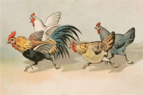 Nhiều tài lộc nhưng vốn dễ tin người, con giáp cũng nên thận trọng tiểu nhân ghen ghét hãm hại, chiếm đoạt tài sản. (*Thông tin chỉ mang tính chất chiêm nghiệm, trắc nghiệm vui).