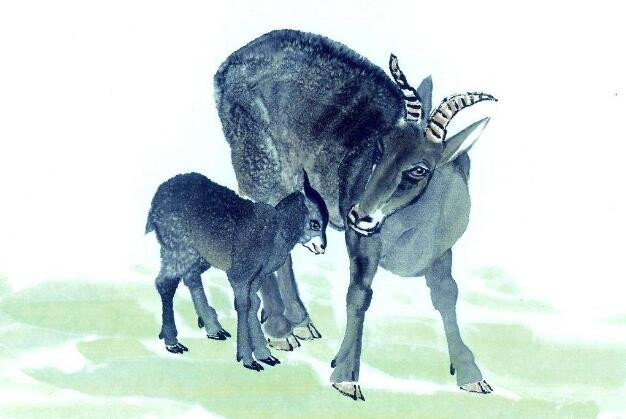 Theo dự đoán cho 12 con giáp trong 7 ngày tới, tuổi Mùi có hỏa Tinh đến cung Phúc Đức, mang lại sự năng động, vui vẻ, may mắn. Từ đây, tài lộc của con giáp thăng hoa, chỉ cần chăm chỉ và bền bỉ, thần may mắn sẽ giúp mọi việc đều thành công dễ dàng.