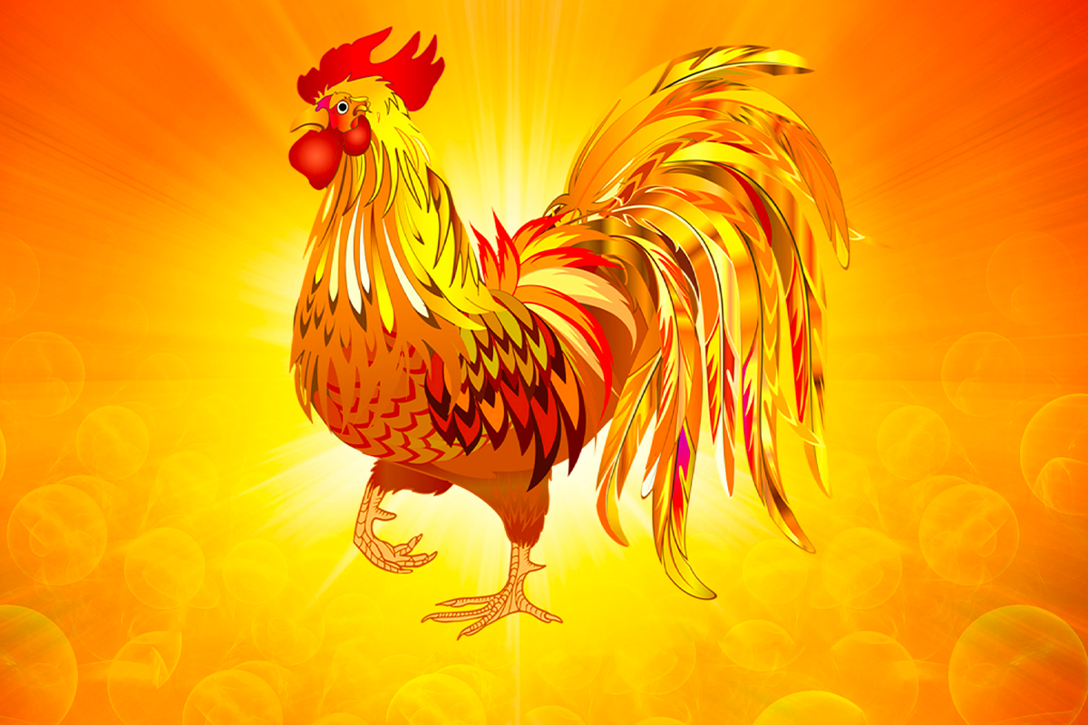 Tuổi Dậu vốn chăm chỉ và có năng lực. Thông thường, dù khó khăn, con giáp vẫn không ngừng cố gắng, tích góp từng chút. Trong 7 ngày tới, tài lộc hanh thông, có quý nhân giúp đỡ, con giáp nên tận dụng tối đa những lợi thế của bản thân.