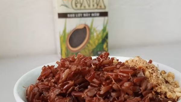 Gạo lứt nảy mầm còn làm tăng lượng vitamin A, E, C, đặc biệt vitamin nhóm B. Nhiều chất dinh dưỡng khác cũng phát sinh trong quá trình này, nổi bật nhất là chất GABA, một chất dẫn truyền thần kinh, có thể làm giảm huyết áp, giảm mỡ máu, dịu thần kinh, giúp cho giấc ngủ sâu hơn…