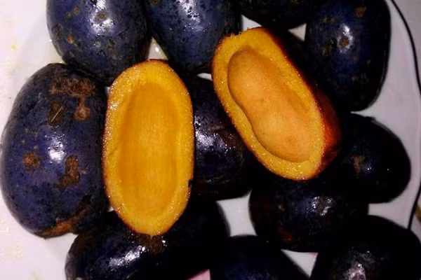 Cọ ỏm. Cọ ỏm là thứ quà rất nhiều du khách muốn thưởng thức khi đến Phú Thọ. Khi chế biến, người dân sẽ chọn những trái cọ già bởi cọ càng già thì càng đạt “độ chín”, vị càng ngậy, béo và bùi.