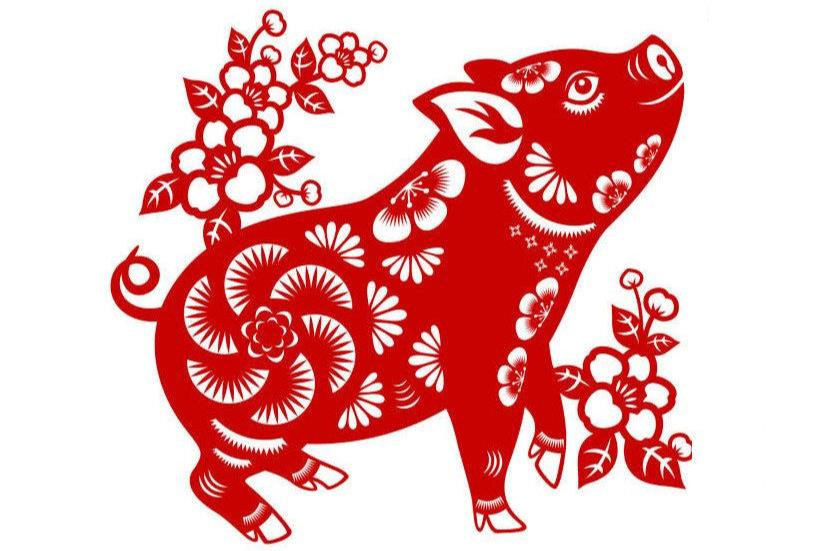 Tuổi Hợi chỉ cần chăm chỉ học hành, điều vui mừng bất ngờ sẽ tìm đến. Những ai đang đi làm không được lười biếng, vì đối thủ đang theo bạn rất sát sao. Tài lộc hôm nay tăng cao, tuổi Hợi có thể tự thưởng món quà nhỏ cho bản thân. (*Thông tin chỉ mang tính chất chiêm nghiệm, trắc nghiệm vui).