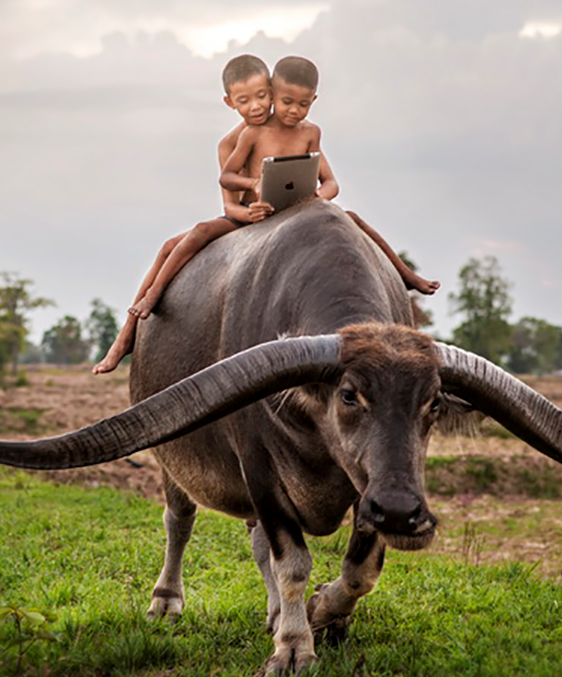 Tuổi Sửu luôn chăm chỉ, hiền lành và có ý chí bền bỉ. Con giáp vốn không thích tranh giành với ai điều gì, đôi khi thành ra nhún nhường, dễ bị người khác cướp đi cơ hội.