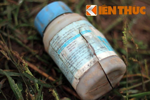 Canh dong cai Gia Lam la liẹt vỏ thuóc sau dọc hại-Hinh-5