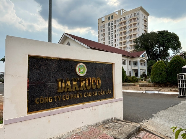 Cao su Đắk Lắk xin hoãn trả 40 tỷ đồng nợ vay vì khó khăn - Hình 2 Cao su Dak Lak xin hoan tra 40 ty dong no vay vi kho khan-Hinh-2