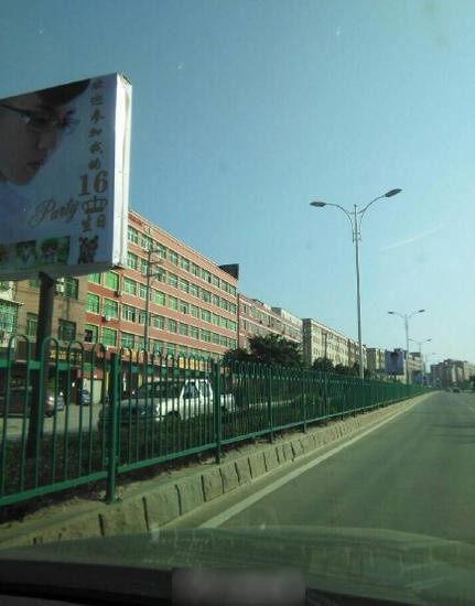 Cư dân mạng Trung Quốc sau khi xem ảnh đã ném đá trò lố của gia đình cậu bé. Họ hoài nghi việc gia đình này đã xin phép chính quyền địa phương trước khi thực hiện "tác phẩm" lố bịch đó. Cánh tài xế đi trên tỉnh lộ 308 cũng bày tỏ sự khó chịu khi đập vào mắt họ là liên tiếp những tấm biển thể hiện sự phô trương quá mức.