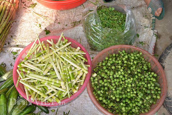 Măng trúc, cà gai - sản vật từ rừng Tây Bắc.