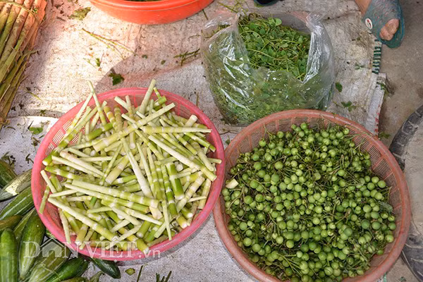 Măng trúc, cà gai - sản vật từ rừng Tây Bắc.