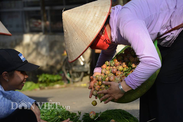 Mận được mang tới từ Nậm Búng.