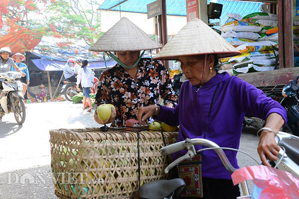 Dưa lê từ xã Tú Lệ.