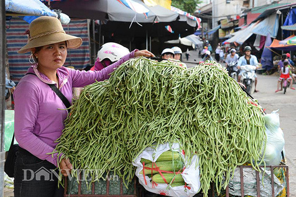 Đậu từ Gia Hội.