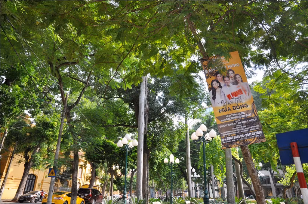 Sau chiếc dấu “vi phạm” trên các băng rôn tại Hà Nội, nhiều nghệ sĩ đã nghĩ đến điều khoản trong hợp đồng biểu diễn với công ty tổ chức biểu diễn là không được treo sai quy định để ảnh hưởng đến hình ảnh của họ.