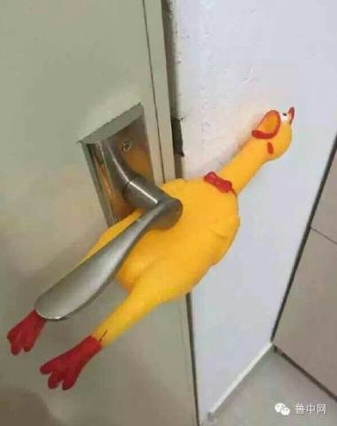 Cuoi vo bung voi nhung cach chong trom cua sinh vien-Hinh-3