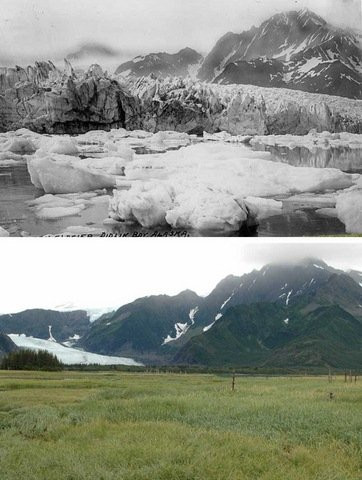 Sông băng Pedersen, Alaska (Mỹ). Ảnh chụp năm 1930 và 2005. 