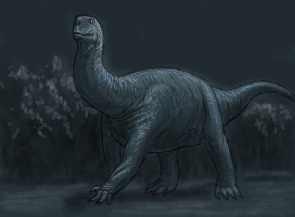 Những loài khủng long này đều có trọng lượng khủng với kích thước gần gấp 2 lần kích thước một con voi châu Phi lớn. Ảnh: dinopedia.