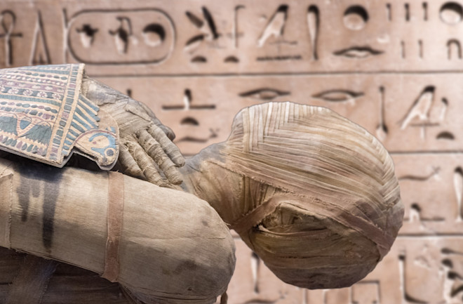 Tuy nhiên, danh tính thực sự của Bashiri đến nay vẫn là một bí ẩn. Các chuyên gia không dám mở lớp bọc vì lo sợ có thể phá hủy hoàn toàn kỹ thuật ướp xác đặc biệt này. Do đó, họ buộc phải tìm cách tiếp cận khác để giải mã bí ẩn. Ảnh: Andrea Izzotti/Shutterstock.