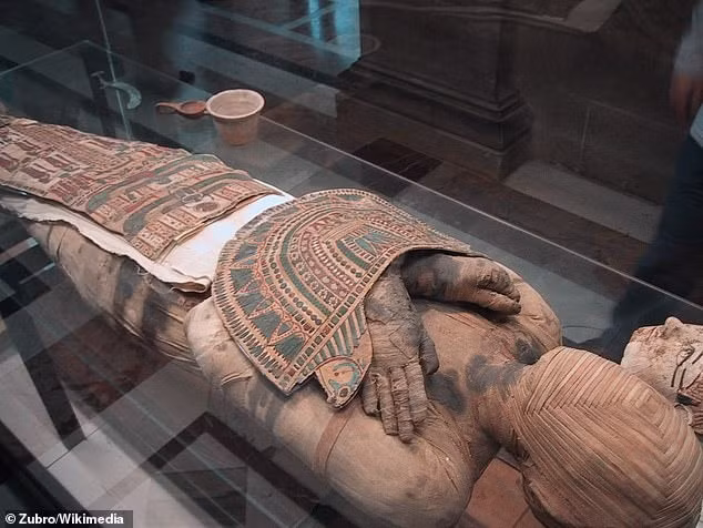 Điều này khiến giới chuyên gia suy đoán Bashiri có thể là một nhân vật quan trọng trong xã hội Ai Cập cổ đại nên mới được ướp xác một cách "đặc biệt" như vậy. Ảnh: Zubro/Wikimedia.