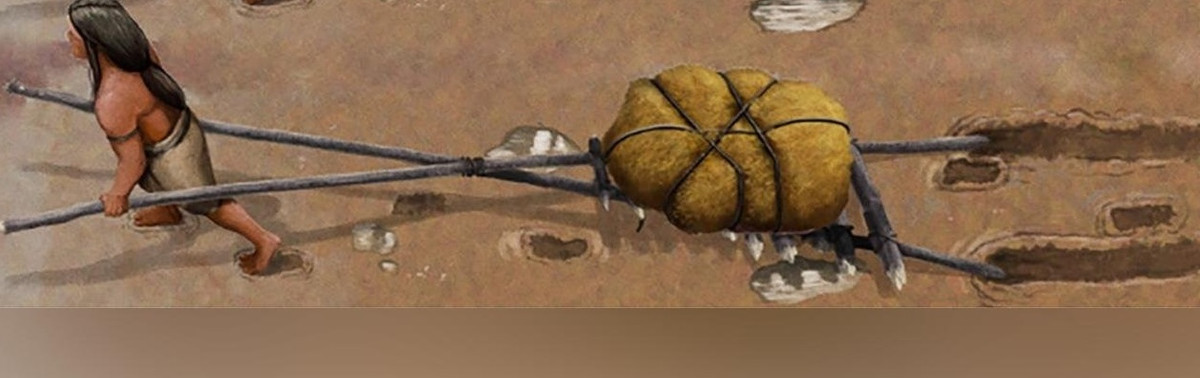 Theo nghiên cứu, trẻ em và phụ nữ lớn tuổi cũng dùng những chiếc travois vào thời điểm đó. Dựa trên kích thước và vị trí của những dấu chân cổ xưa được tìm thấy bên cạnh các dấu vết kéo lê, các nhà chuyên gia cho hay người lớn có khả năng đã kéo travois trong khi trẻ em đi theo. Ảnh: Gabriel Ugueto/Bournemouth University.