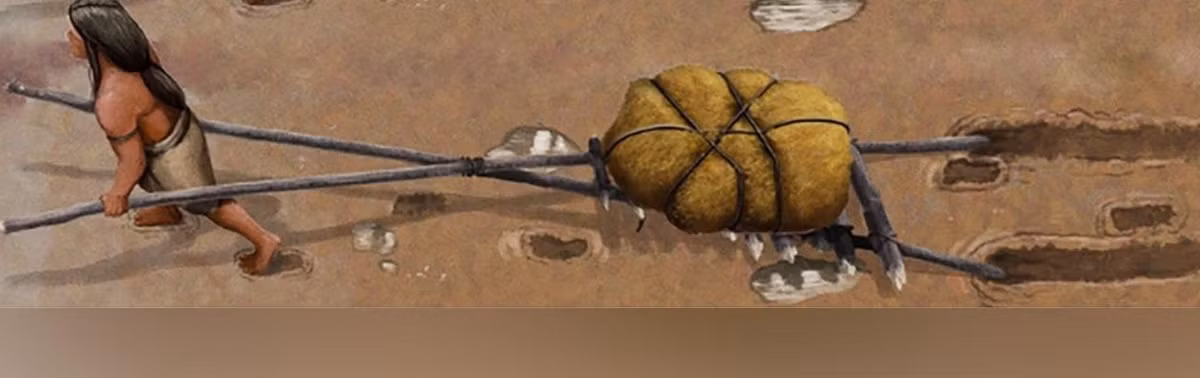 Theo nghiên cứu, trẻ em và phụ nữ lớn tuổi cũng dùng những chiếc travois vào thời điểm đó. Dựa trên kích thước và vị trí của những dấu chân cổ xưa được tìm thấy bên cạnh các dấu vết kéo lê, các nhà chuyên gia cho hay người lớn có khả năng đã kéo travois trong khi trẻ em đi theo. Ảnh: Gabriel Ugueto/Bournemouth University.