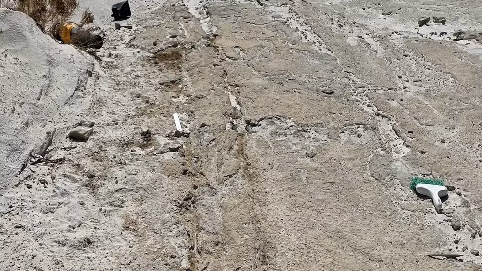 Cụ thể, nhóm nghiên cứu đã tìm thấy dấu chân cổ xưa và dấu vết kéo lê tại Công viên quốc gia White Sands ở New Mexico. Đây có khả năng là địa điểm có dấu chân người cổ nhất ở Bắc Mỹ. Ảnh: Bournemouth University.