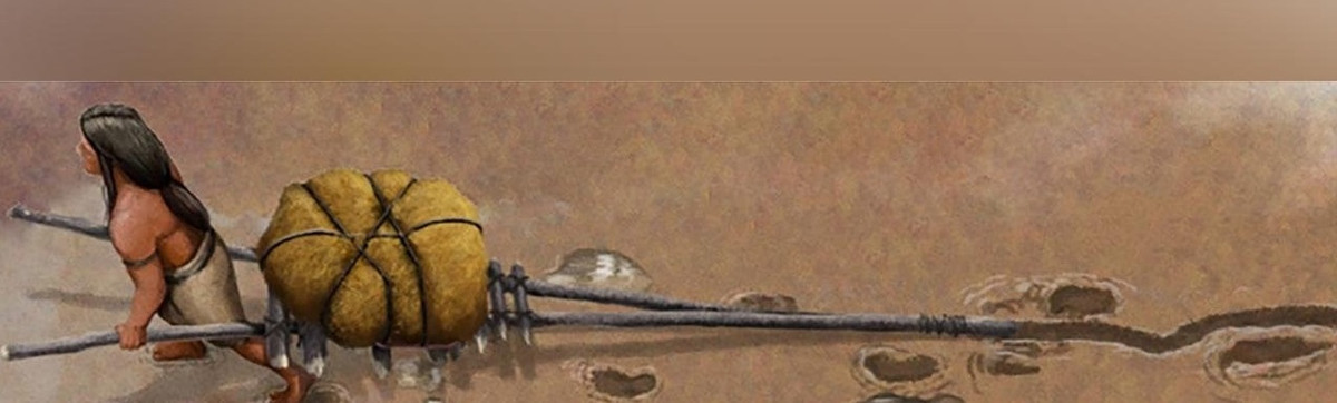 Các nhóm cư dân bản địa ở Great Plains (bao gồm một phần của New Mexico) đã sử dụng loại travois do chó kéo (về sau là ngựa) để vận chuyển đồ đạc, các vật dụng trong sinh hoạt... vào thời điểm tiếp xúc sớm với những người thực dân châu Âu cách đây khoảng 500 năm. Ảnh: Gabriel Ugueto/Bournemouth University.