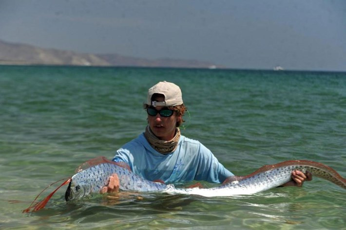 Cá mái chèo sinh sống ở nhiều khu vực trên thế giới, ngoại trừ các vùng nước thuộc Bắc Cực. Ảnh: Noah Thompson.