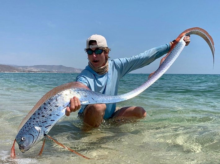 Loài cá mái chèo (oarfish) có thân hình mảnh khảnh giống lươn và dẹt. Chúng có các tia vây lưng màu đỏ cam chạy dọc cơ thể. Ảnh: Noah Thompson.