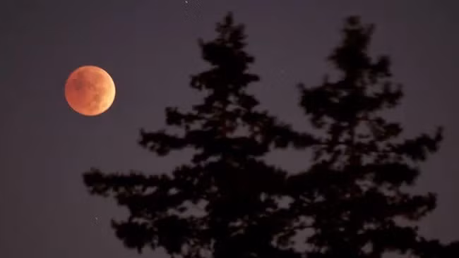 Hiện tượng nguyệt thực toàn phần tạo nên khung cảnh đẹp như tranh vẽ ở thành phố New York, Mỹ. Ảnh: Islam Dogru of the Anadolou Agency and Getty Images.