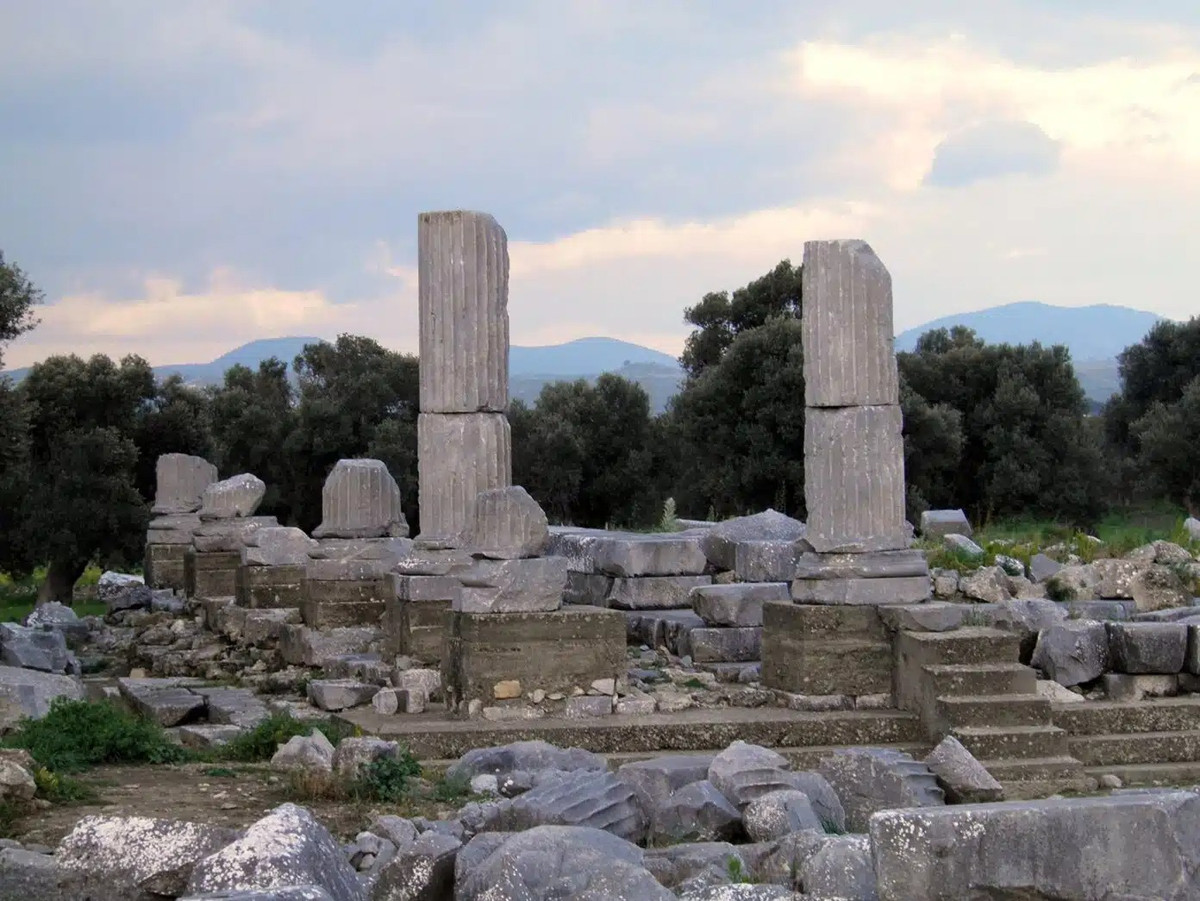 Theo các chuyên gia, 2 bức tranh khảm tinh xảo được các nghệ nhân thời xưa chế tác vô cùng tỉ mỉ. Hai bức tranh này nằm ở 2 căn phòng khác nhau. Ảnh: Carole Raddato / CC BY-SA 2.0.