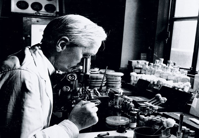 Penicillin được xem là một trong những phát minh tình cờ mà vĩ đại trong thế kỷ 20. Theo các ghi chép, vào năm 1928, nhà vi khuẩn học Scotland Alexander Fleming đã quên dọn dẹp nơi làm việc trước khi đi nghỉ. Ảnh: Daily Herald Archive/National Media Museum / Science &amp; Society Picture Library.