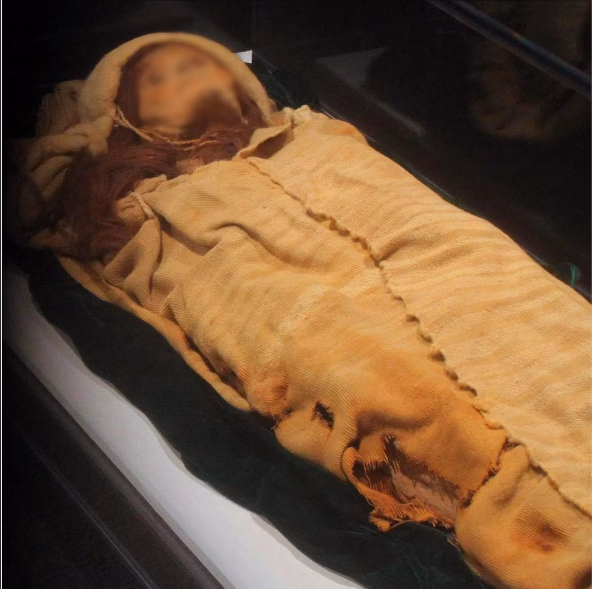 Tình trạng xác ướp "công chúa Tân Cương" nguyên vẹn tới mức còn nguyên lông mi và tóc. Sống mũi dài và cao, hốc mắt sâu. Ảnh: worldhistory.