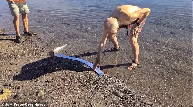 Vào ngày 10/2, người dân ở bờ biển Playa Quemada, thuộc quần đảo Canary, Tây Ban Nha phát hiện một con cá mái chèo trôi dạt vào bờ. Điều này khiến một số người lo lắng sắp xảy ra sự kiện tồi tệ bởi " quái ngư" này được cho là điềm báo của thảm họa mỗi lần xuất hiện. Ảnh: Jam Press/Greg Hayes.
