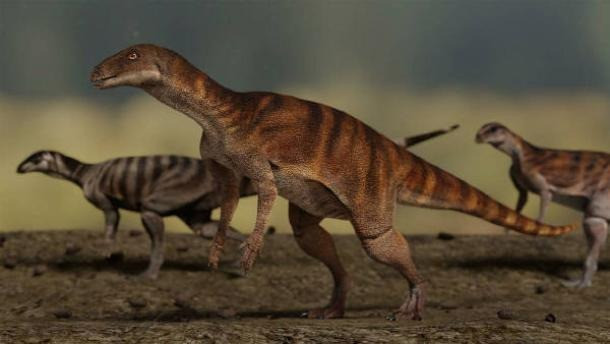 Tảng đá có những dấu chân khủng long khoảng 200 triệu tuổi trên gần như không được chú ý đến trong hơn 20 năm cho đến khi các viên chức tại ngôi trường nhờ nhà cổ sinh vật học Anthony Romilio thuộc Đại học Queensland kiểm tra một cụm dấu chân có 3 ngón. Ảnh: Handout/University of Queensland.