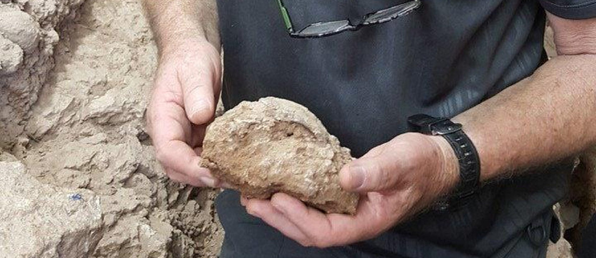 Từ lâu, giới nghiên cứu đã nghi ngờ rằng, trong khoảng thời gian từ 80.000 - 130.000 năm trước, 3 loài người khác nhau cùng chia sẻ "cửa ngõ di cư" Nam Levant, tức phía Nam của khu vực Đông Địa Trung Hải ngày nay. Ảnh: haaretz.