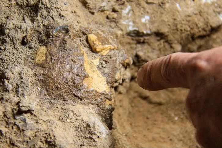 Ba loài người này bao gồm: Homo sapiens, Neanderthal và một loài bí ẩn chưa thể xác định. Những thi hài phát hiện trong 5 ngôi mộ trên mang những đặc điểm khác biệt so với các loài người từng được biết đến trước đây. Ảnh: Ariel David.