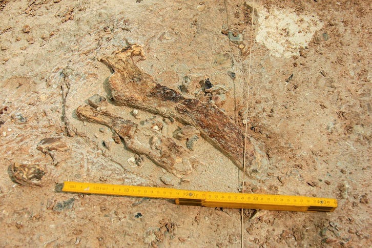 Phát hiện này cho thấy loài người mới đã chia sẻ những công cụ đá và có các phong tục sơ khai giống như loài Homo sapiens và các loài người cổ gần gũi khác. Ảnh: Ariel David.