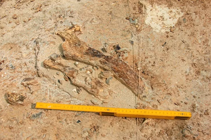 Phát hiện này cho thấy loài người mới đã chia sẻ những công cụ đá và có các phong tục sơ khai giống như loài Homo sapiens và các loài người cổ gần gũi khác. Ảnh: Ariel David.