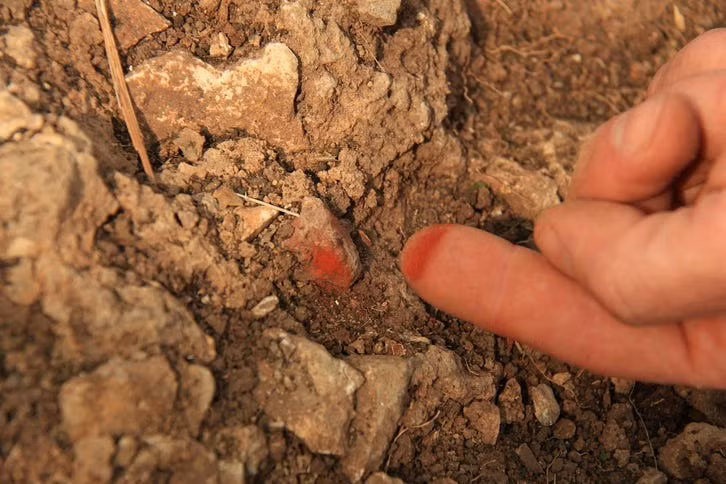 Những thi hài tìm thấy trong mộ cổ khoảng 130.000 tuổi trên nằm trong tư thế bào thai. Bên trong mộ còn có sự hiện diện của sắc tố khoáng đỏ đất son, có thể được dùng như một phần của nghi lễ chôn cất cổ xưa. Ảnh: Ariel David.