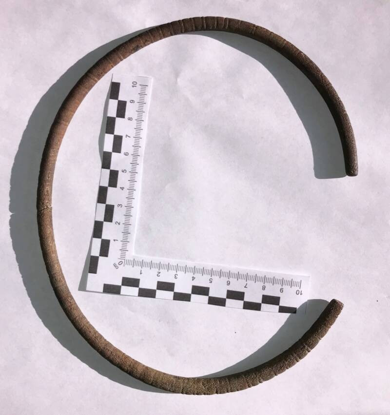 Tại ngôi làng nhỏ Bartosze, Ba Lan vào tháng 1/2025, con trai của một nông dân địa phương tình cờ phát hiện một báu vật quý 2.500 tuổi trong lúc dọn đồng để gia súc dễ tiếp xúc nguồn nước. Đó là một chiếc vòng cổ bằng đồng bị vỡ làm đôi. Ảnh: Provincial Office for Monument Protection in Olsztyn.