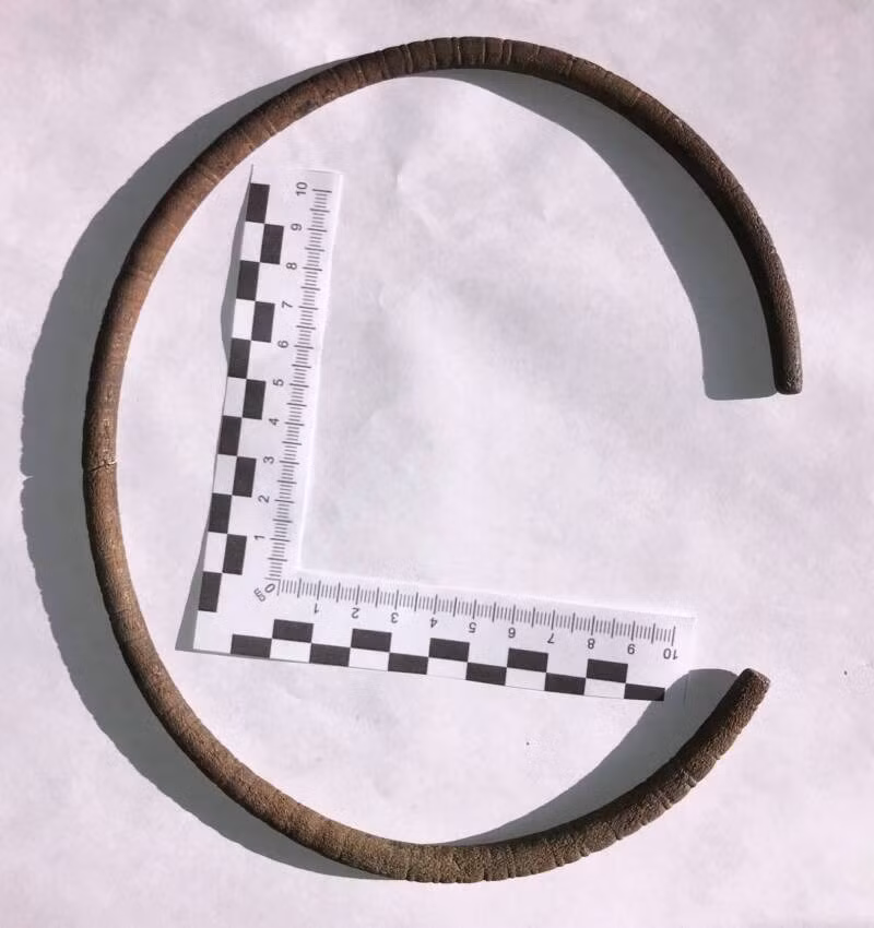 Tại ngôi làng nhỏ Bartosze, Ba Lan vào tháng 1/2025, con trai của một nông dân địa phương tình cờ phát hiện một báu vật quý 2.500 tuổi trong lúc dọn đồng để gia súc dễ tiếp xúc nguồn nước. Đó là một chiếc vòng cổ bằng đồng bị vỡ làm đôi. Ảnh: Provincial Office for Monument Protection in Olsztyn.