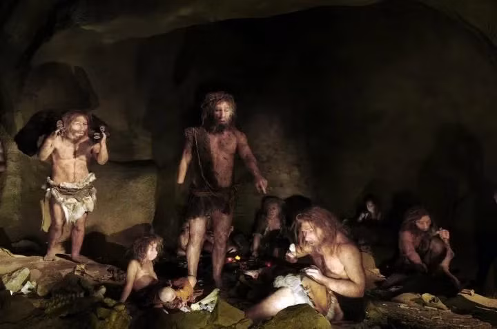 Để xác định thời điểm chính xác người Neanderthal tuyệt chủng, các chuyên gia sẽ cần thêm thời gian để tìm kiếm những bằng chứng xác thực hơn. Ảnh: Science Photo Library / Daynes, Elisabeth.
