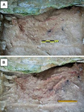 Vào thời điểm tử vong, "đứa trẻ Lapedo" khoảng 4 - 5 tuổi. Kết quả kiểm tra ADN và những xét nghiệm khác của các chuyên gia cho thấy đây là hài cốt của đứa trẻ lai giữa 2 loài người. Ảnh: João Zilhão/Science Advances.