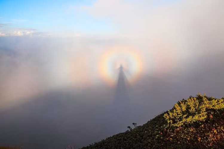 Theo biên tập viên Katie, một giả thuyết cho rằng, những bóng đen bí ẩn đó là một dạng của triệu chứng Apophenia và Paredolia. Trong đó, Apophenia là hiện tượng tâm lý thích liên tưởng các hình ảnh và suy ra ý nghĩa của nó. Pareidolia là hiện tượng ảo giác khuôn mặt. Dấu hiệu của hiện tượng này chính là khi nhìn vào một vật bất kì như quả cam, trên bức tường, trên đám mây… xuất hiện những hình mặt người. Chúng chỉ xuất hiện trong trực giác của con người vào một thời điểm nhất định. Ảnh: jasonrobertsonline.