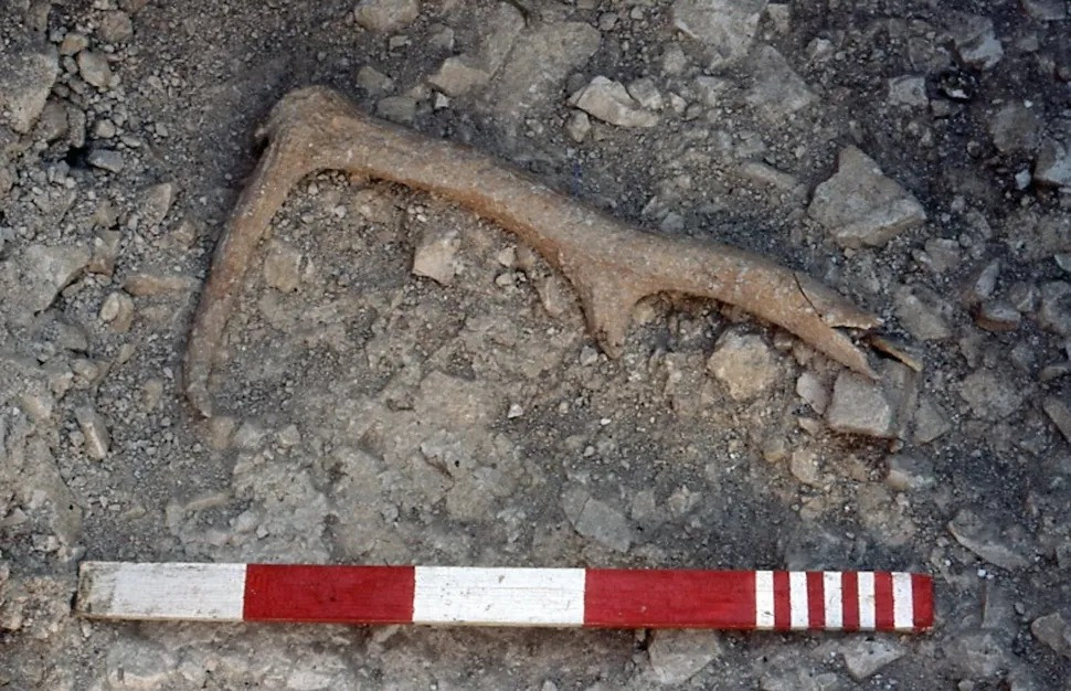 Cụ thể, các nhà nghiên cứu đã xác định tuổi của di chỉ Flagstones bằng phương pháp cacbon phóng xạ. Theo đó, họ xác định Flagstones có niên đại vào khoảng năm 3200 trước Công nguyên. Ảnh: Courtesy of the Dorset Museum.